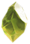 Icon Organic Crystal.png