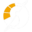 DSP Logo.png
